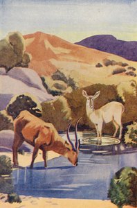 İçme Deliğindeki Antiloplar (renkli lito) by English School
