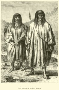 Doğu Bolivya