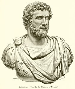 Antoninus. (Napoli Müzesi