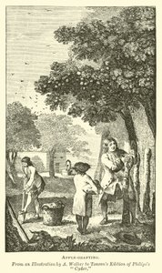 elma aşılama by English School