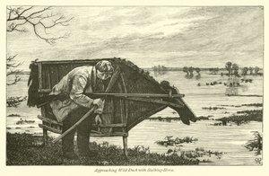 Yaban Ördeğine Stalking Horse ile Yaklaşmak by English School