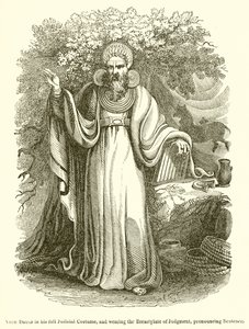 Arch Druid, Adli Kostümü içinde ve Yargının Göğüs Zırhını takmış, Cümleyi Söylerken by English School