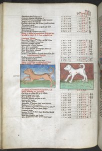 Arundel MS 66 f.44v Canis maior ve Canis minör köpekler olarak tasvir edilmiştir 