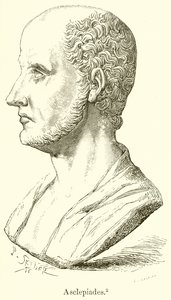 Asklepiadlar by English School