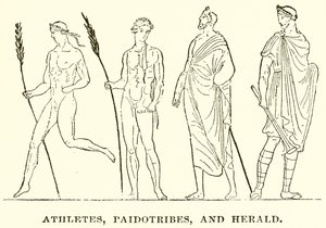 Sporcular, Paidotribes ve Herald by English School