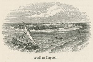 Atoll veya lagün (gravür) by English School