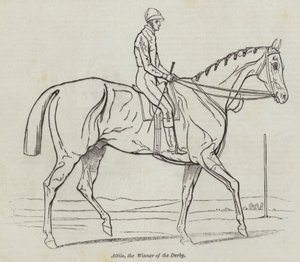 Derbiyi Kazanan Atilla (gravür) by English School