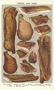 Pastırma ve jambon by English School