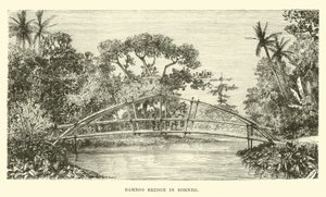 Borneo