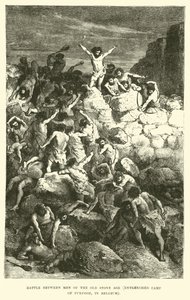 Belçika