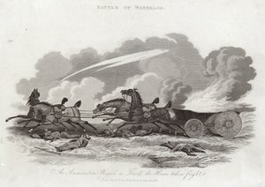 Waterloo Savaşı by English School