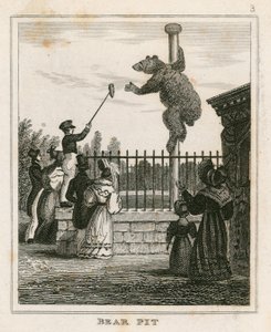 Bear Pit, Londra Hayvanat Bahçeleri, Regents Park by English School