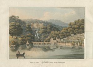 Beaudesert Hall ve Park: renkli aquatint gravürü, 1816 by English School