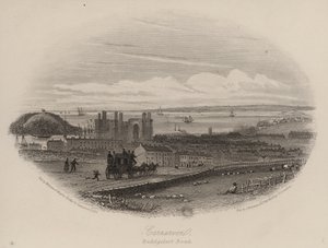 Beddgelert Yolu, Caernarfon, Kuzey Galler (gravür) by English School