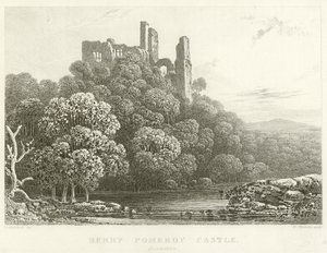 Berry Pomeroy Kalesi, Devonshire (gravür) by English School