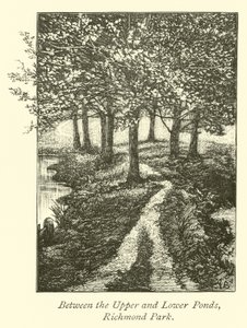 Yukarı ve Aşağı Göletler Arasında, Richmond Park by English School