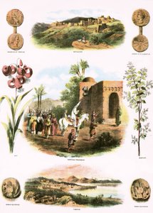 İncil çizimler by English School