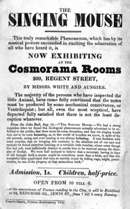 Cosmorama Rooms