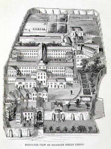 Coldbath Fields Hapishanesinin Kuş Bakışı Görünümü, Henry Mayhew (1812-87) ve John Binny