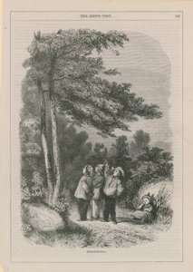 kuş yuvalama by English School