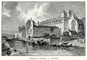 Piskopos Sarayı, S David