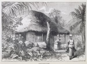 Black Habitations, Samuel Hazard'ın 'Santo Domingo Dünü ve Bugünü'nden, pub. 1873'te (gravür) by English School
