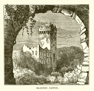 Blarney Kalesi by English School