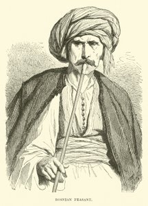 Bosnalı köylü by English School