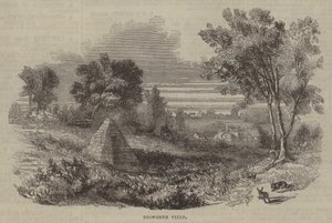 Bosworth Alanı by English School
