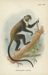 Voutourlin Kadınlar by English School