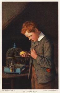 Ölü evcil hayvan kanaryası olan çocuk (renkli taş) by English School