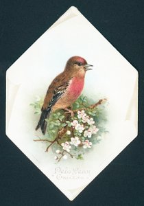 Brambling, Yeni Yıl Kartı by English School