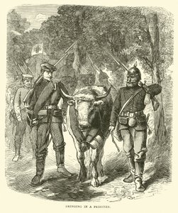 Bir mahkumun getirilmesi, Eylül 1870 by English School