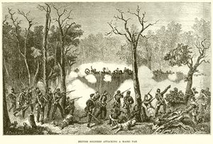 Maori Pah
