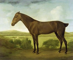 Brown Horse in a Hilly Landscape, c.1780-1800 