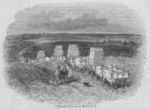 Moldova'da Bullock Karavanı by English School