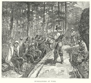 Bush-Rangers İş Başında (gravür) by English School