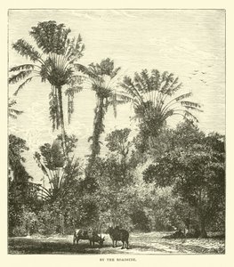 yol kenarında by English School