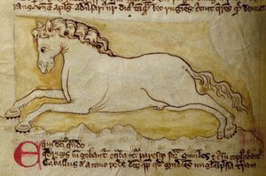 CCA-LitMs/D/10 fol. 10r At, Bestiary