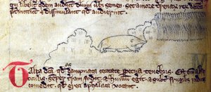 CCA-LitMs/D/10 fol. Bestiary