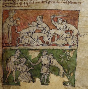CCA-LitMs/D/10 fol. 6r Köpek, Bestiary