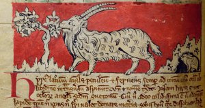 CCA-LitMs/D/10 fol. 8v Keçi, Bestiary