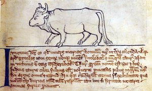 CCA-LitMs/D/10 fol. 9r Bullock, Bestiary