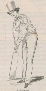 C Taylor by English School