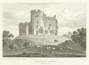 Cardiff Kalesi, Glamorganshire (gravür) by English School