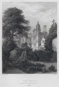 Fellows