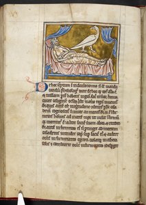 Caladrius kuşu - Bestiary, Kraliyet MS 12 C XIX, f.47v by English School
