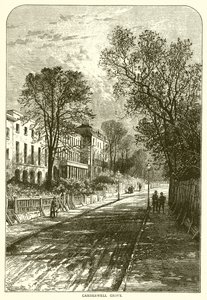 Camberwell Korusu by English School