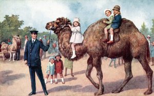 Çocuk taşıyan deve, Londra Hayvanat Bahçesi (renkli taş) by English School