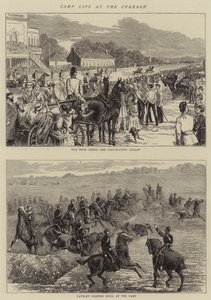 Curragh